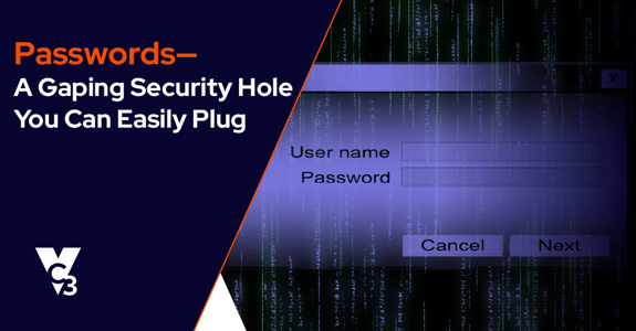 Passwords - security hole