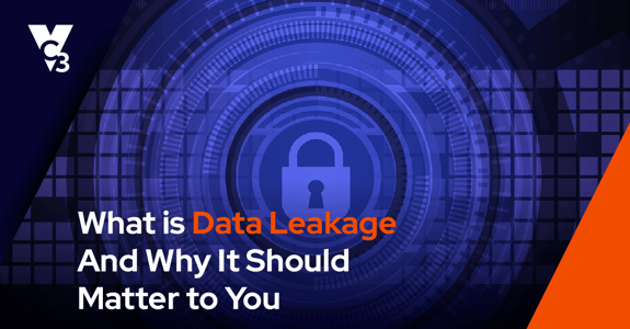 what is data leakage